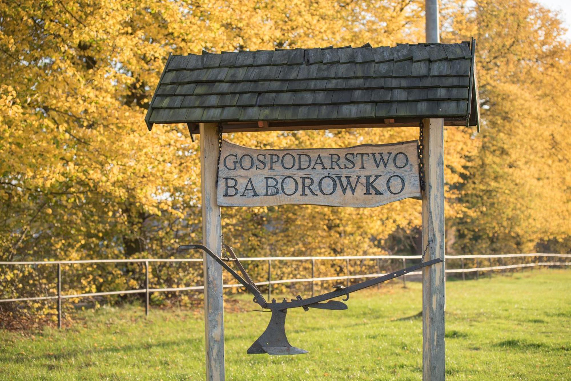 Palac Baborowko Szamotuły Exterior foto